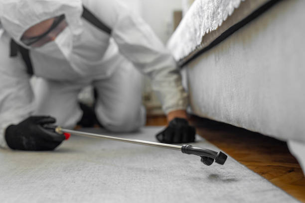 Professional Termite Control technician working in Oakley, KS