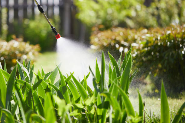 24/7 Emergency Termite Control experts in Oakley, KS