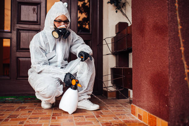 Reliable Termite Control contractor in Oakley, KS by Nex Pest Control