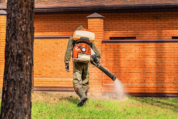 Top rated local Termite Control specialists in Oakley, KS